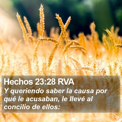 Hechos 23:28 RVA Bible Verse Image