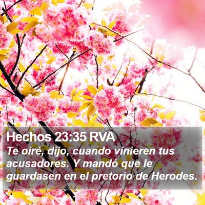 Hechos 23:35 RVA Bible Verse Image