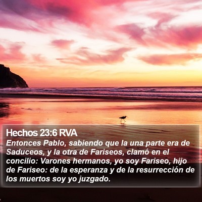 Hechos 23:6 RVA Bible Verse Image