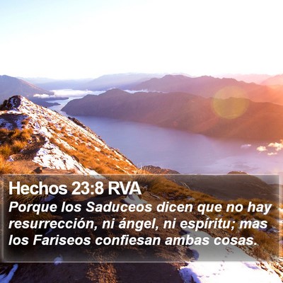 Hechos 23:8 RVA Bible Verse Image