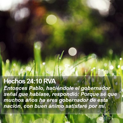 Hechos 24:10 RVA Bible Verse Image