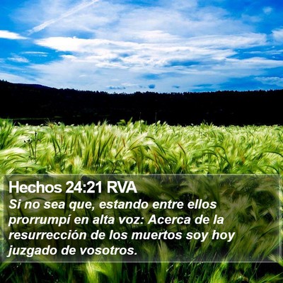 Hechos 24:21 RVA Bible Verse Image