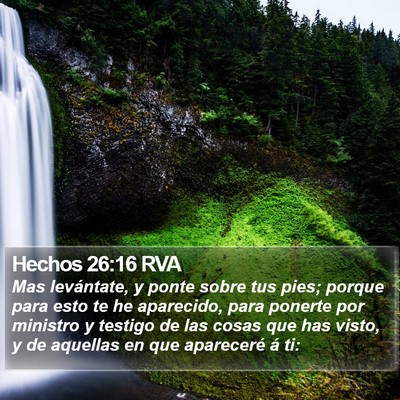 Hechos 26:16 RVA Bible Verse Image