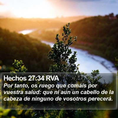 Hechos 27:34 RVA Bible Verse Image