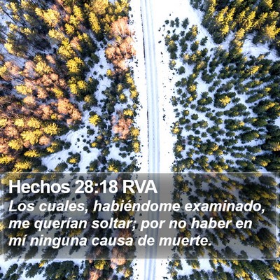 Hechos 28:18 RVA Bible Verse Image