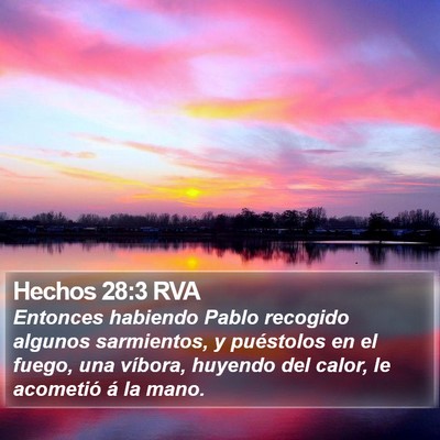 Hechos 28:3 RVA Bible Verse Image