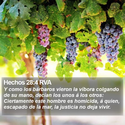Hechos 28:4 RVA Bible Verse Image