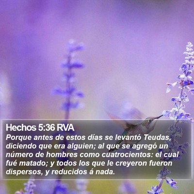 Hechos 5:36 RVA Bible Verse Image