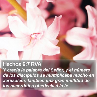 Hechos 6:7 RVA Bible Verse Image