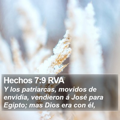 Hechos 7:9 RVA Bible Verse Image