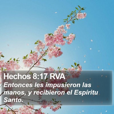 Hechos 8:17 RVA Bible Verse Image
