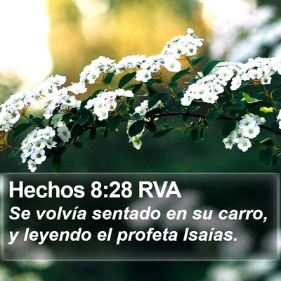 Hechos 8:28 RVA Bible Verse Image