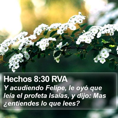 Hechos 8:30 RVA Bible Verse Image