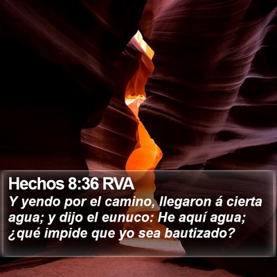 Hechos 8:36 RVA Bible Verse Image