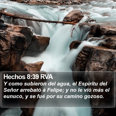 Hechos 8:39 RVA Bible Verse Image