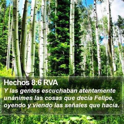 Hechos 8:6 RVA Bible Verse Image