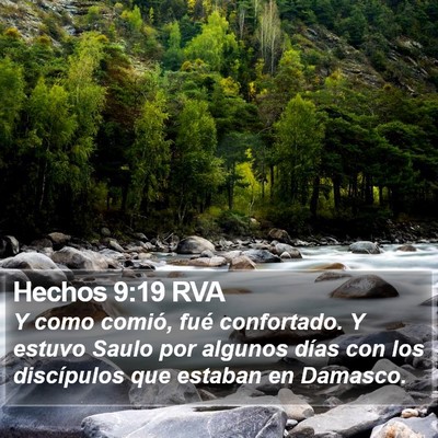 Hechos 9:19 RVA Bible Verse Image