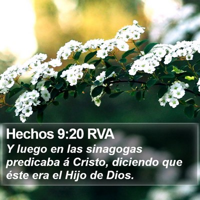 Hechos 9:20 RVA Bible Verse Image