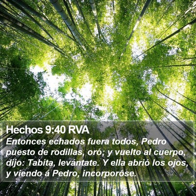 Hechos 9:40 RVA Bible Verse Image