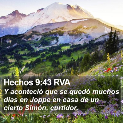 Hechos 9:43 RVA Bible Verse Image