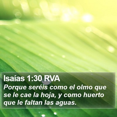 Isaías 1:30 RVA Bible Verse Image