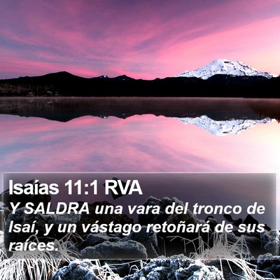 Isaías 11:1 RVA Bible Verse Image