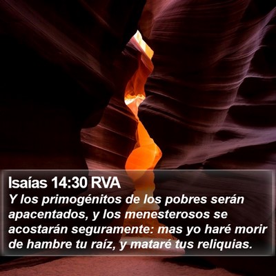 Isaías 14:30 RVA Bible Verse Image