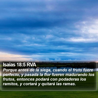 Isaías 18:5 RVA Bible Verse Image