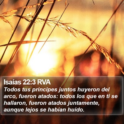 Isaías 22:3 RVA Bible Verse Image