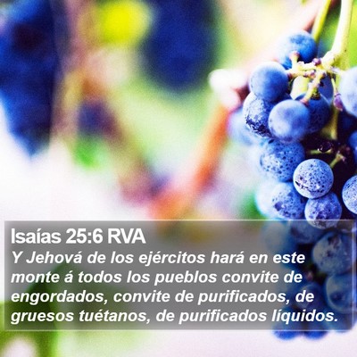 Isaías 25:6 RVA Bible Verse Image