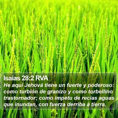 Isaías 28:2 RVA Bible Verse Image
