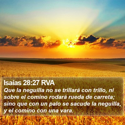 Isaías 28:27 RVA Bible Verse Image