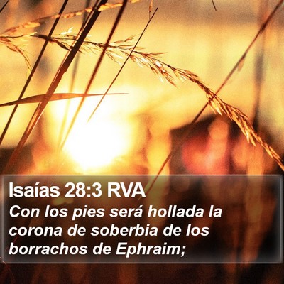 Isaías 28:3 RVA Bible Verse Image