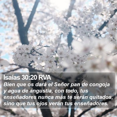 Isaías 30:20 RVA Bible Verse Image