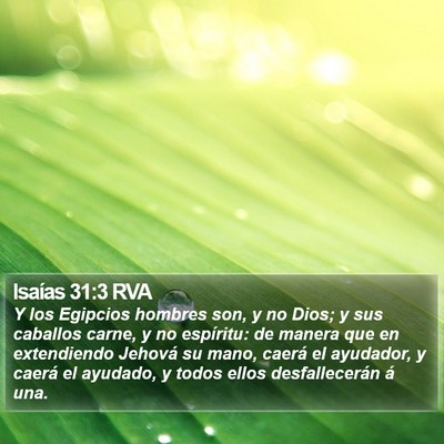 Isaías 31:3 RVA Bible Verse Image