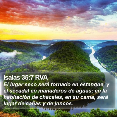 Isaías 35:7 RVA Bible Verse Image