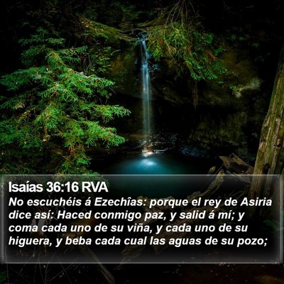 Isaías 36:16 RVA Bible Verse Image