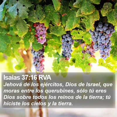 Isaías 37:16 RVA Bible Verse Image