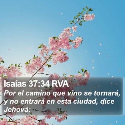 Isaías 37:34 RVA Bible Verse Image