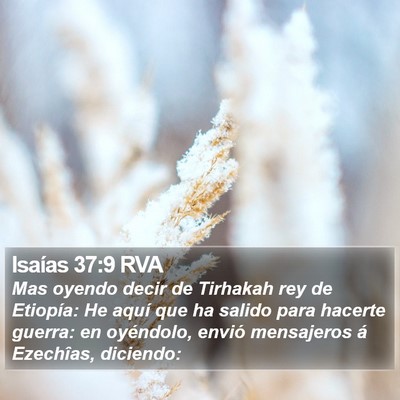 Isaías 37:9 RVA Bible Verse Image