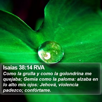 Isaías 38:14 RVA Bible Verse Image