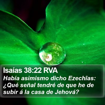 Isaías 38:22 RVA Bible Verse Image