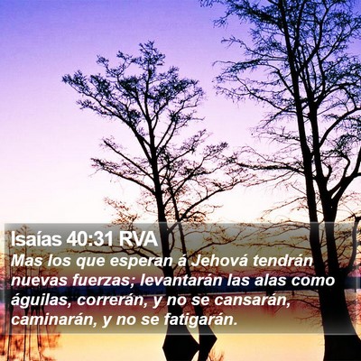 Isaías 40:31 RVA Bible Verse Image