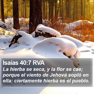 Isaías 40:7 RVA Bible Verse Image