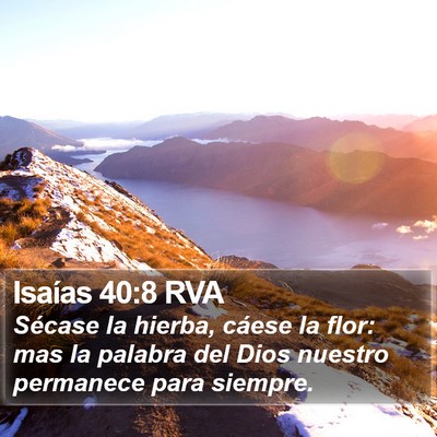 Isaías 40:8 RVA Bible Verse Image