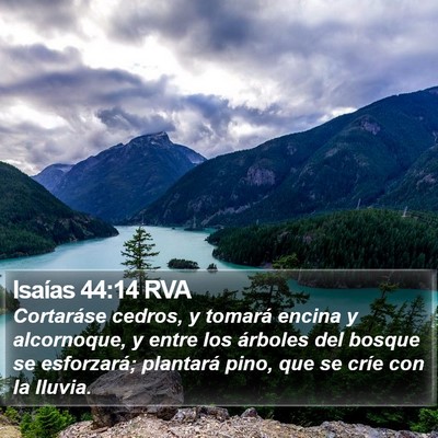 Isaías 44:14 RVA Bible Verse Image