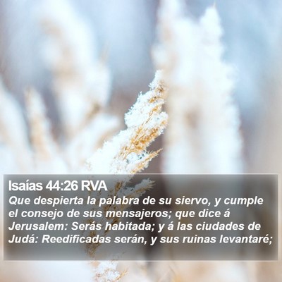 Isaías 44:26 RVA Bible Verse Image