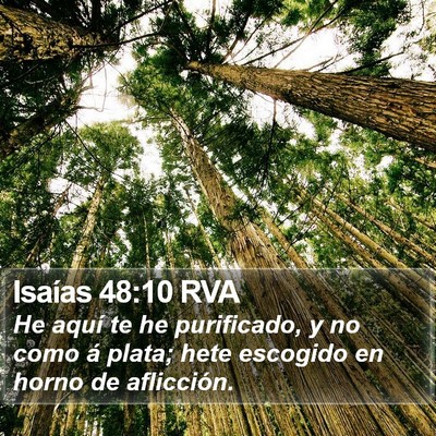 Isaías 48:10 RVA Bible Verse Image
