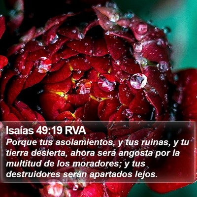 Isaías 49:19 RVA Bible Verse Image