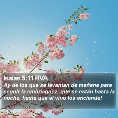 Isaías 5:11 RVA Bible Verse Image